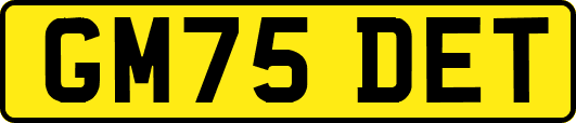 GM75DET