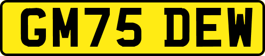 GM75DEW