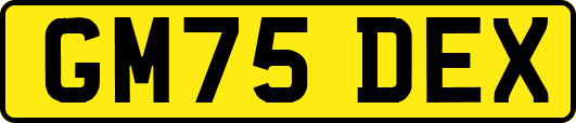 GM75DEX