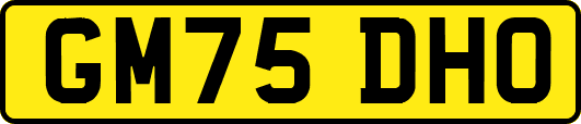 GM75DHO