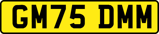 GM75DMM