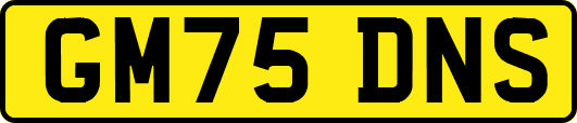 GM75DNS