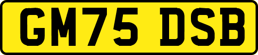 GM75DSB
