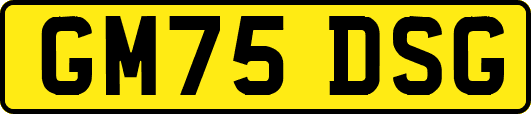 GM75DSG