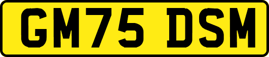 GM75DSM
