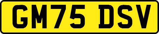 GM75DSV