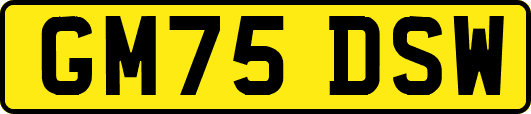 GM75DSW