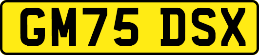 GM75DSX