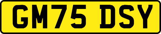 GM75DSY