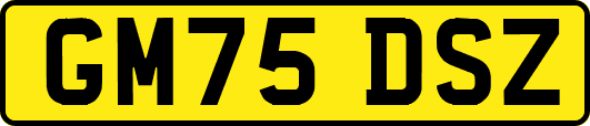 GM75DSZ