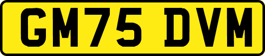 GM75DVM
