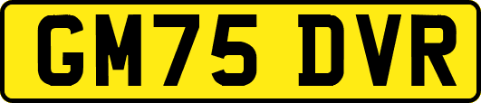 GM75DVR