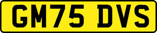 GM75DVS