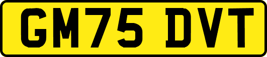 GM75DVT