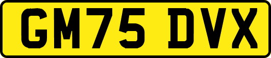 GM75DVX
