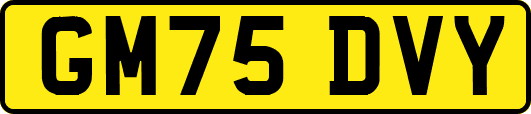 GM75DVY