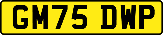 GM75DWP