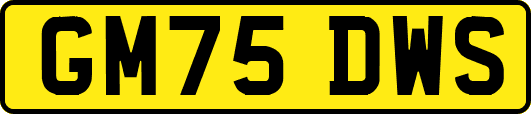 GM75DWS
