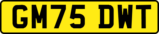 GM75DWT