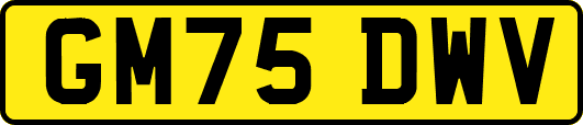 GM75DWV