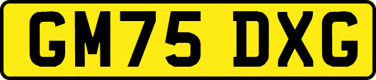 GM75DXG