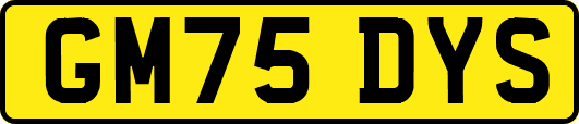 GM75DYS