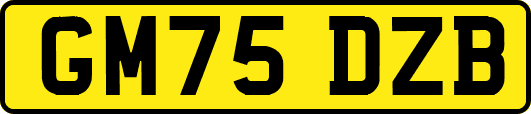 GM75DZB