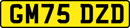 GM75DZD