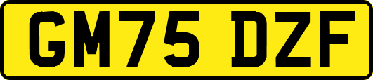 GM75DZF