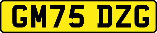 GM75DZG