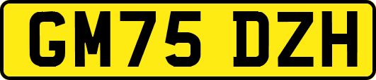 GM75DZH