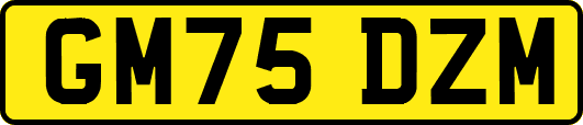 GM75DZM