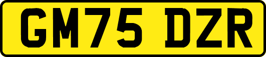 GM75DZR