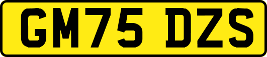 GM75DZS