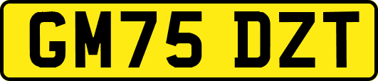 GM75DZT