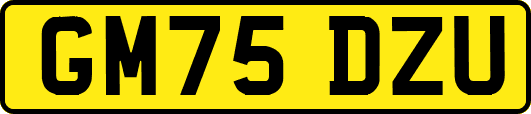 GM75DZU