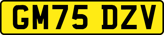 GM75DZV