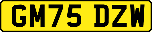 GM75DZW