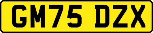 GM75DZX