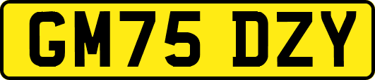 GM75DZY