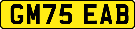 GM75EAB