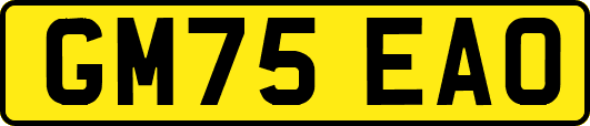 GM75EAO