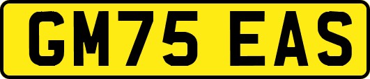 GM75EAS