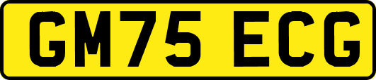 GM75ECG