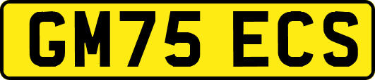 GM75ECS