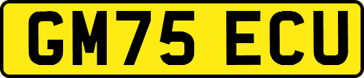 GM75ECU
