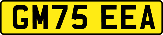 GM75EEA