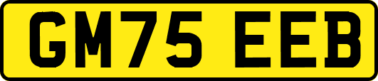 GM75EEB