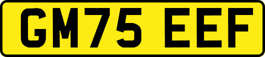 GM75EEF