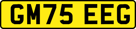 GM75EEG